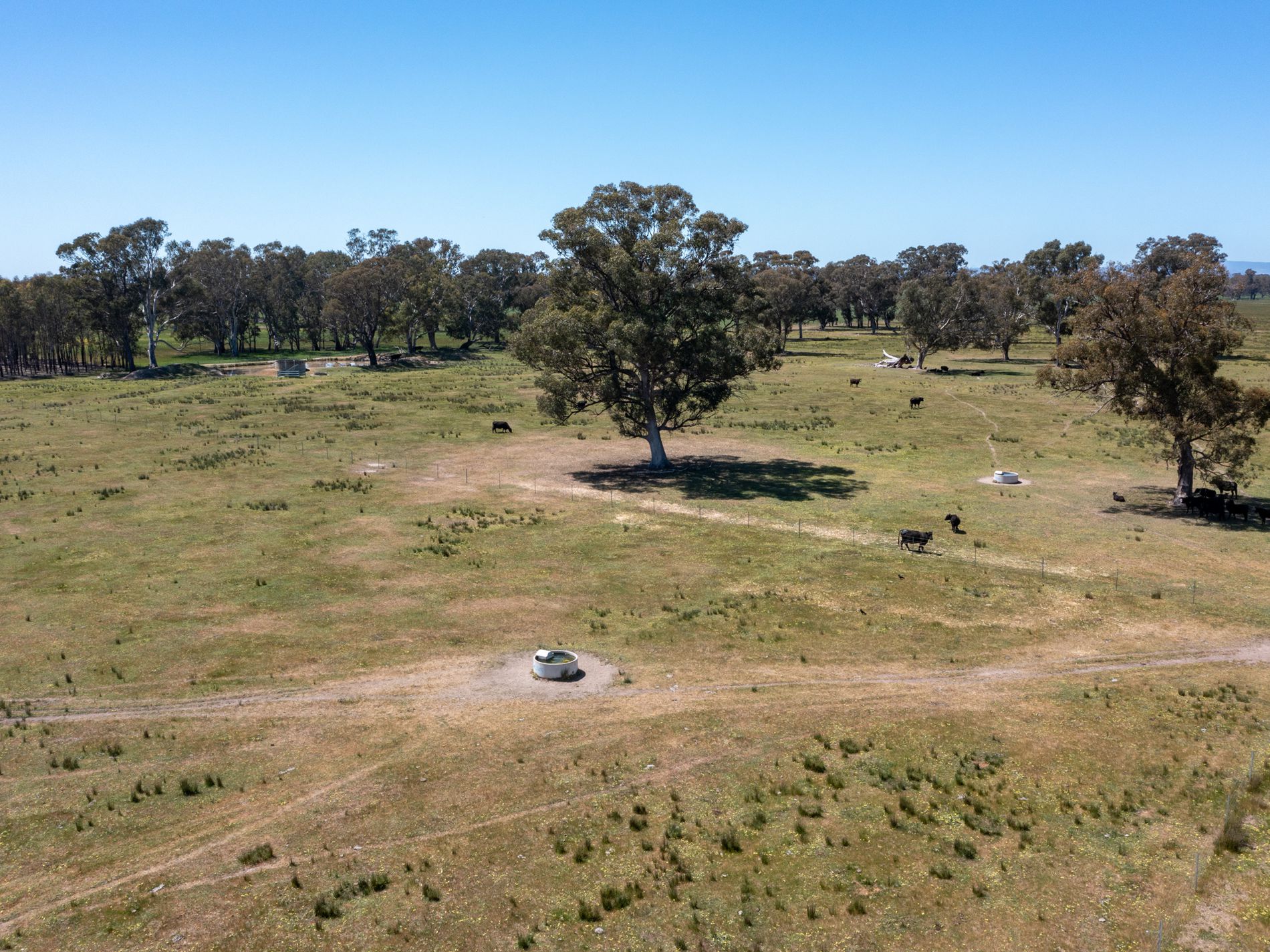 377 Laceby-Targoora Road, Laceby