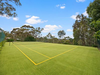 264 Ackland Hill Road, Coromandel East