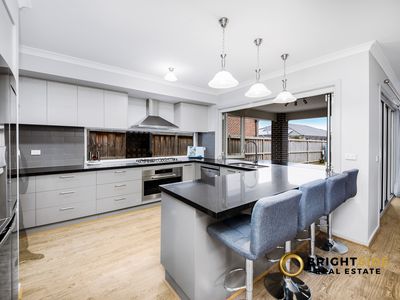 126 Thoroughbred Drive, Clyde North