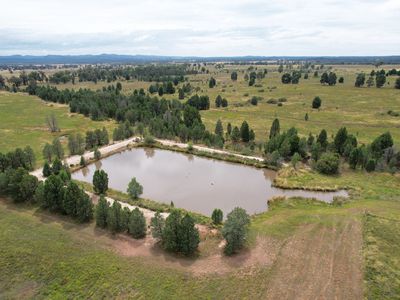 2369 Tantitha Road, Tomingley