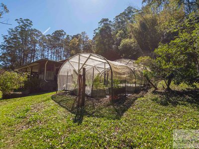 10 / 924 Blue Knob Rd, Nimbin