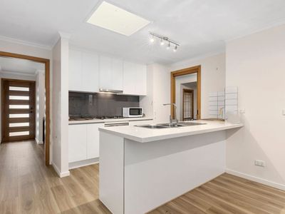 20 The Court, Leopold