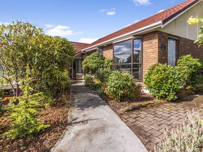 167 Doon Street, Waverley