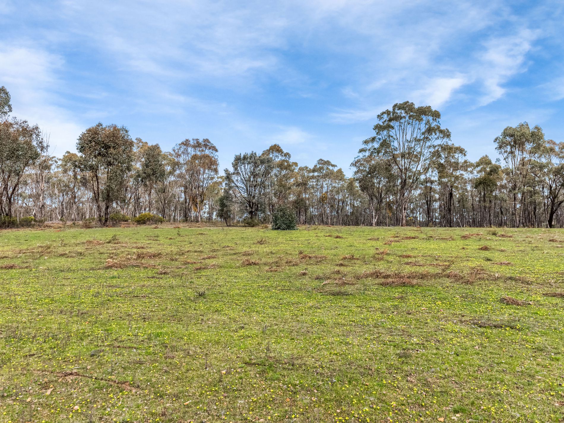175 Chamberlain Road, Heathcote