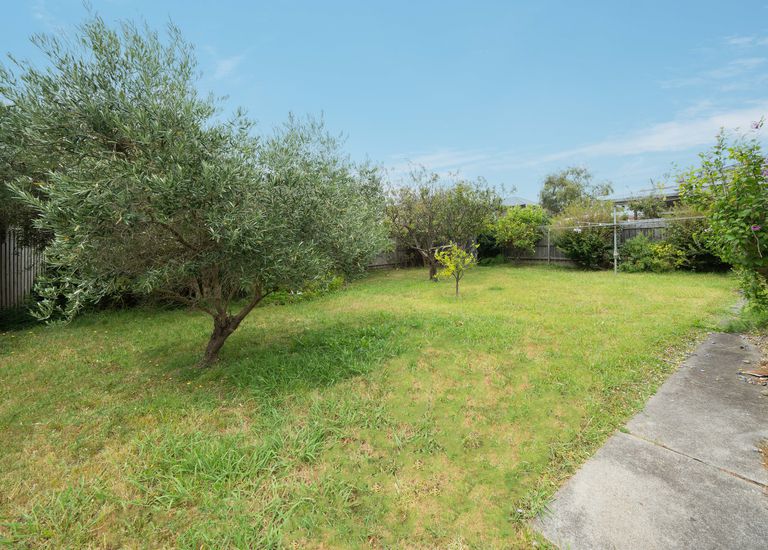 6 Eileen Street, Mount Waverley