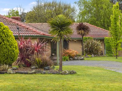 16 Gardiner Street, Gisborne