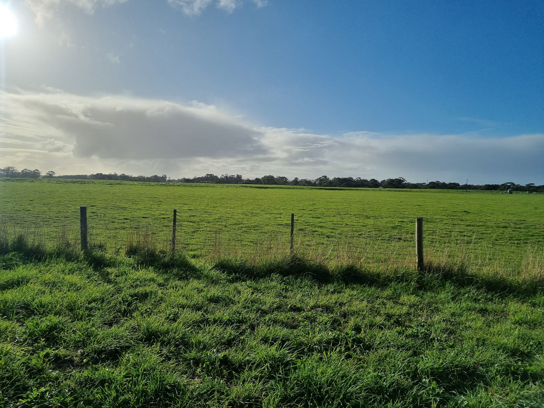 Lot 22, Kent Drive, Millicent