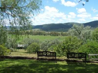 Mingoola Station, Tenterfield