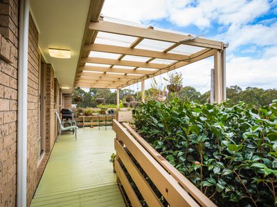 25 / 11 Payne Street, Narooma