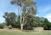 8 Old Regret Road, Orange