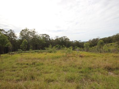 702 Comboyne Road, Byabarra