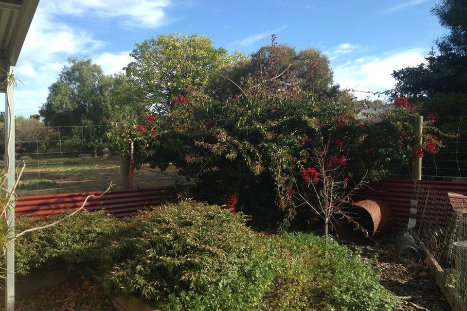 Palmer CE Property Group