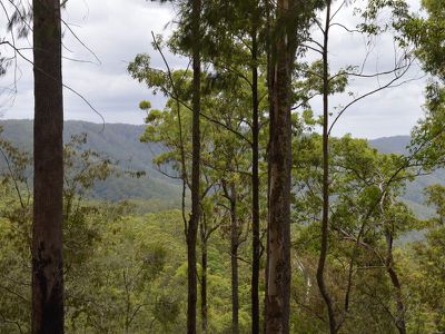 L179 Kilcoy Lane, Conondale