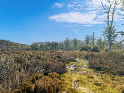 331L Arthurs Lake Road, Arthurs Lake