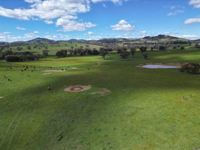 Lot 221 & 62-63 , Wymah Road, Bowna