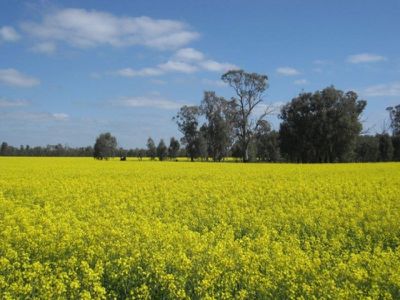 Tocumwal