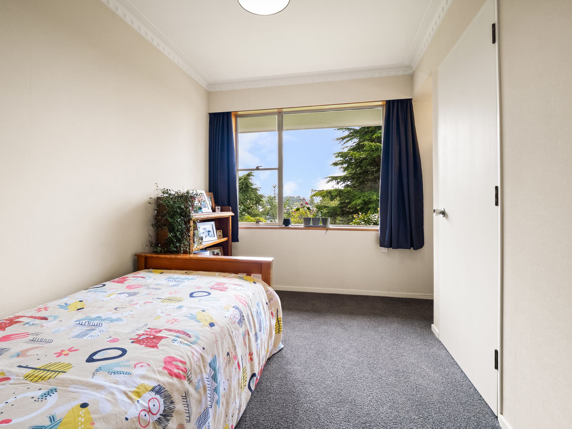 39 Kirkwall Street, Palmerston