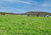 5933 Henry Parkes Way, Manildra
