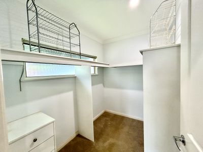 15 Seclusion Drive, Palm Cove