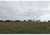324 Dripstone Road, Neurea