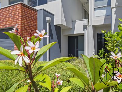 19 Nirvana Way, Willetton
