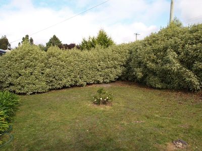 7 Donohoe Street, Cygnet