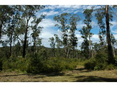 71 Maramingo Road, Maramingo Creek