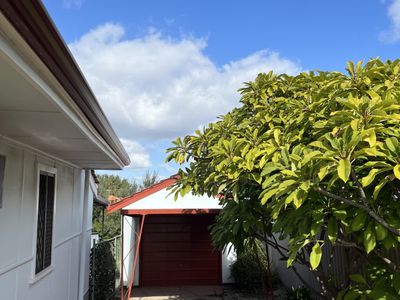 292 Cape Street, Yokine
