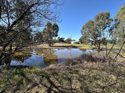 36 Brookview Street, Trundle