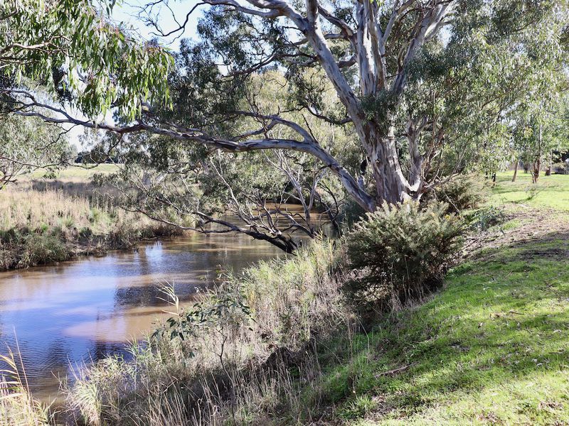 Real Estate Agent Servicing Geelong, Anglesea, Bellarine Peninsula and