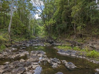 570 Tuntable Creek Road, Tuntable Creek