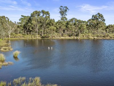 115 Cowles Road, Northwood