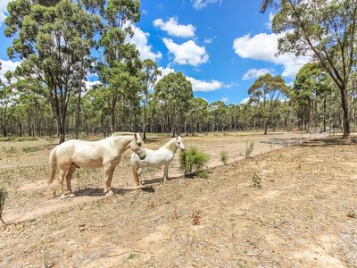 125 Campbells Lane, Tooborac