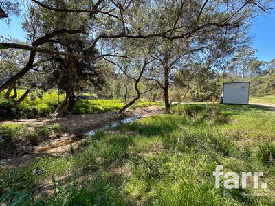 388 Swan Gully Road, Bromelton