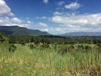 Commissioners Creek