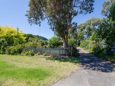 295 Carpenter Rocks Road, Moorak