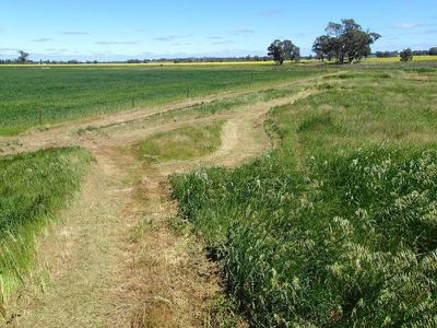 Lot 1, . Whitehead Street, Corowa
