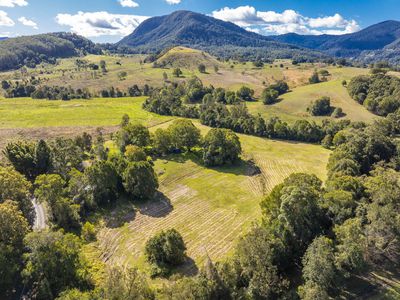 162 BLUE KNOB ROAD, Nimbin