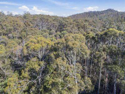 Lot 2 Pottery Road, Garden Island Creek