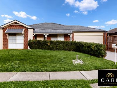 9 Silverwattle Drive, Lyndhurst