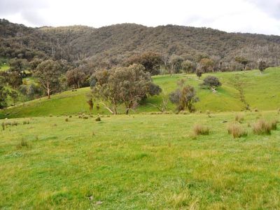 652 Sirls Road, Bethanga