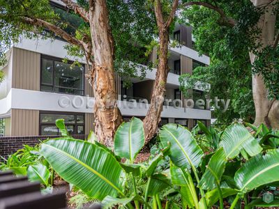 C8XX / 57 Ashmore Street, Erskineville