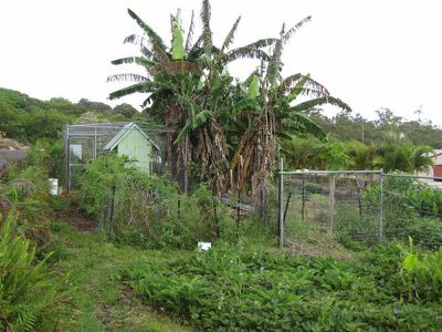 Buderim