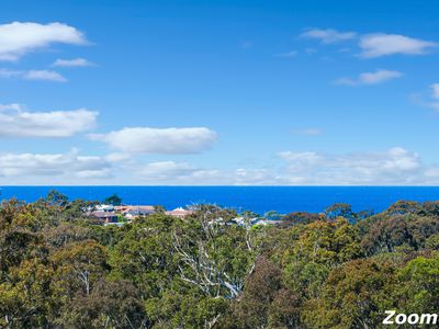 17 Bowerbird Place, Malua Bay