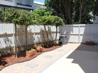 Mount Ommaney