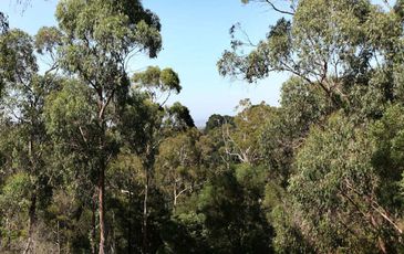 5 Armstrong Road, Beaconsfield Upper