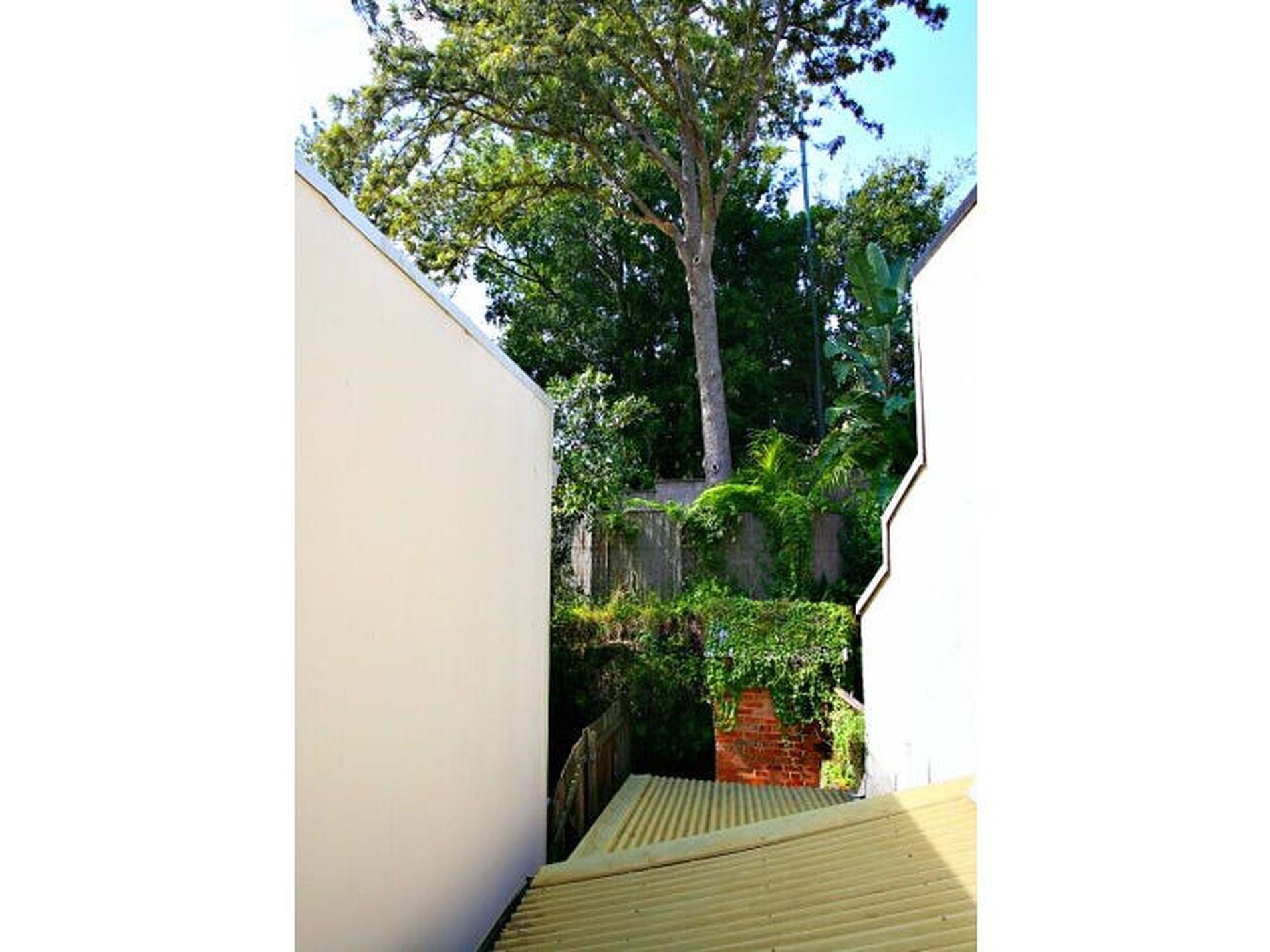 5 Great Thorne Street, Edgecliff