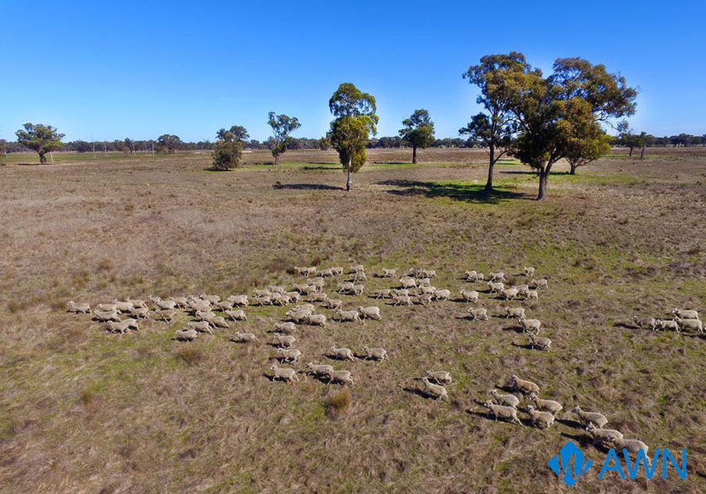 1 Stubbs Road, Pranjip