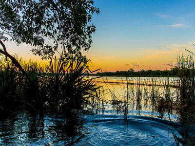 582 / Packsaddle Road, Kununurra