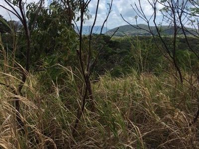 13 Buhmann Street, Cooktown